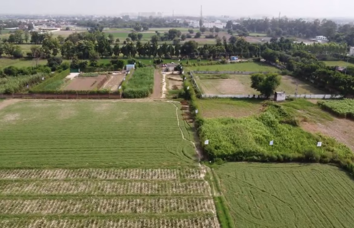 OM Dream Home – Rohtak